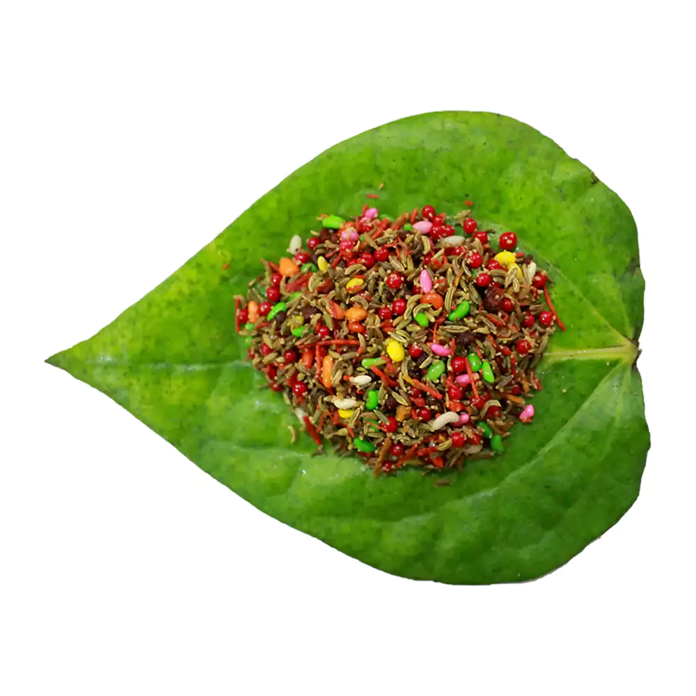 Kashmiri Mix, 100g (Pack of 3)-1.webp